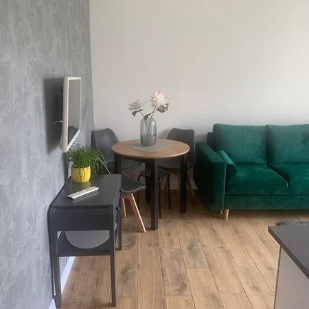 Uroczy Apartament W Centrum Sandomierza Сандомир Екстериор снимка