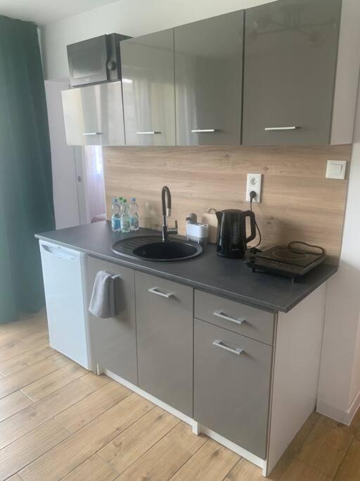 Uroczy Apartament W Centrum Sandomierza Сандомир Екстериор снимка